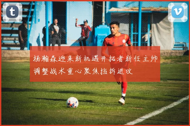 杨瀚森迎来新机遇开拓者新任主帅调整战术重心聚焦挡拆进攻